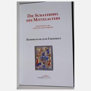 Die Schatzbibel des Mittelalters