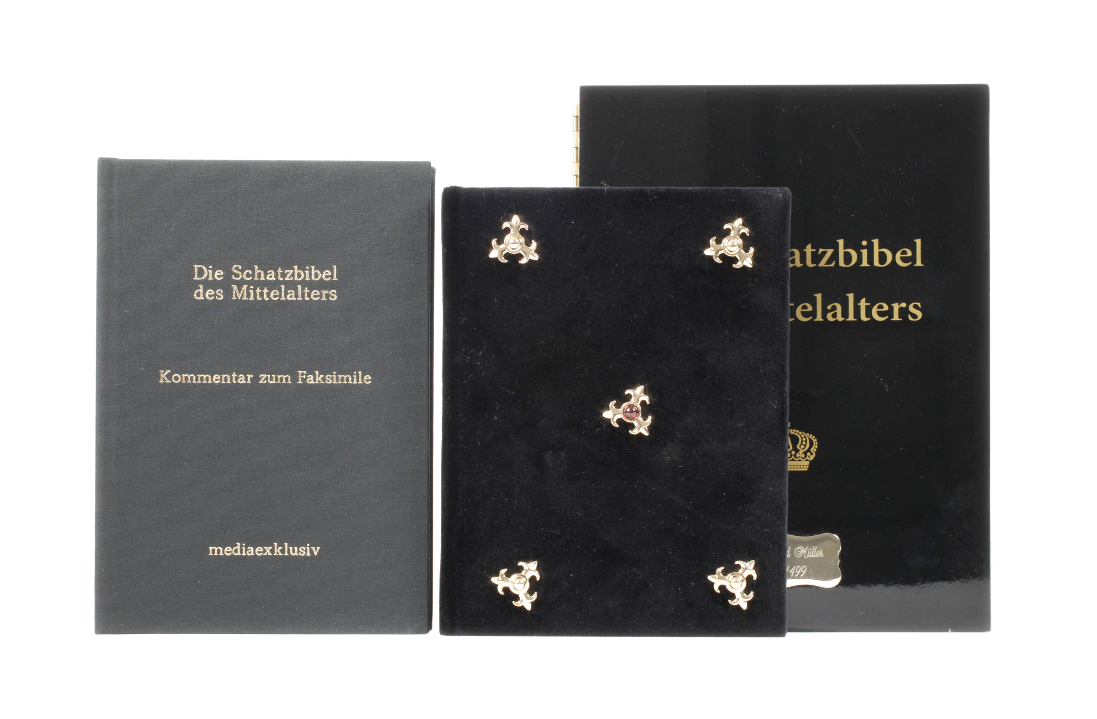 Die Schatzbibel des Mittelalters