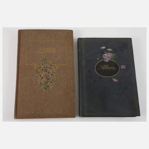 Zwei Ansichtskartenalben Deutschland