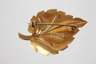 Blattbrosche