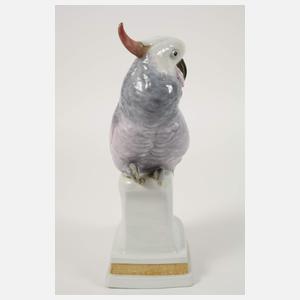 Karl Ens Volkstedt Kakadu