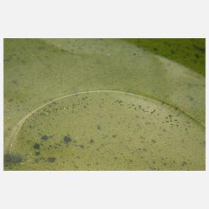 Orrefors drei Glasobjekte Gunnar Cyrén