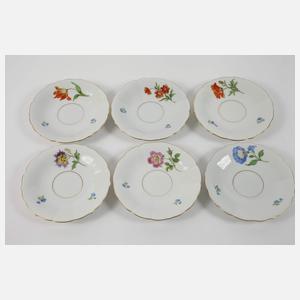Meissen Teeservice "Blume 1"