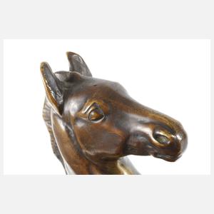 Albert Hinrich Hussman, liegendes Fohlen