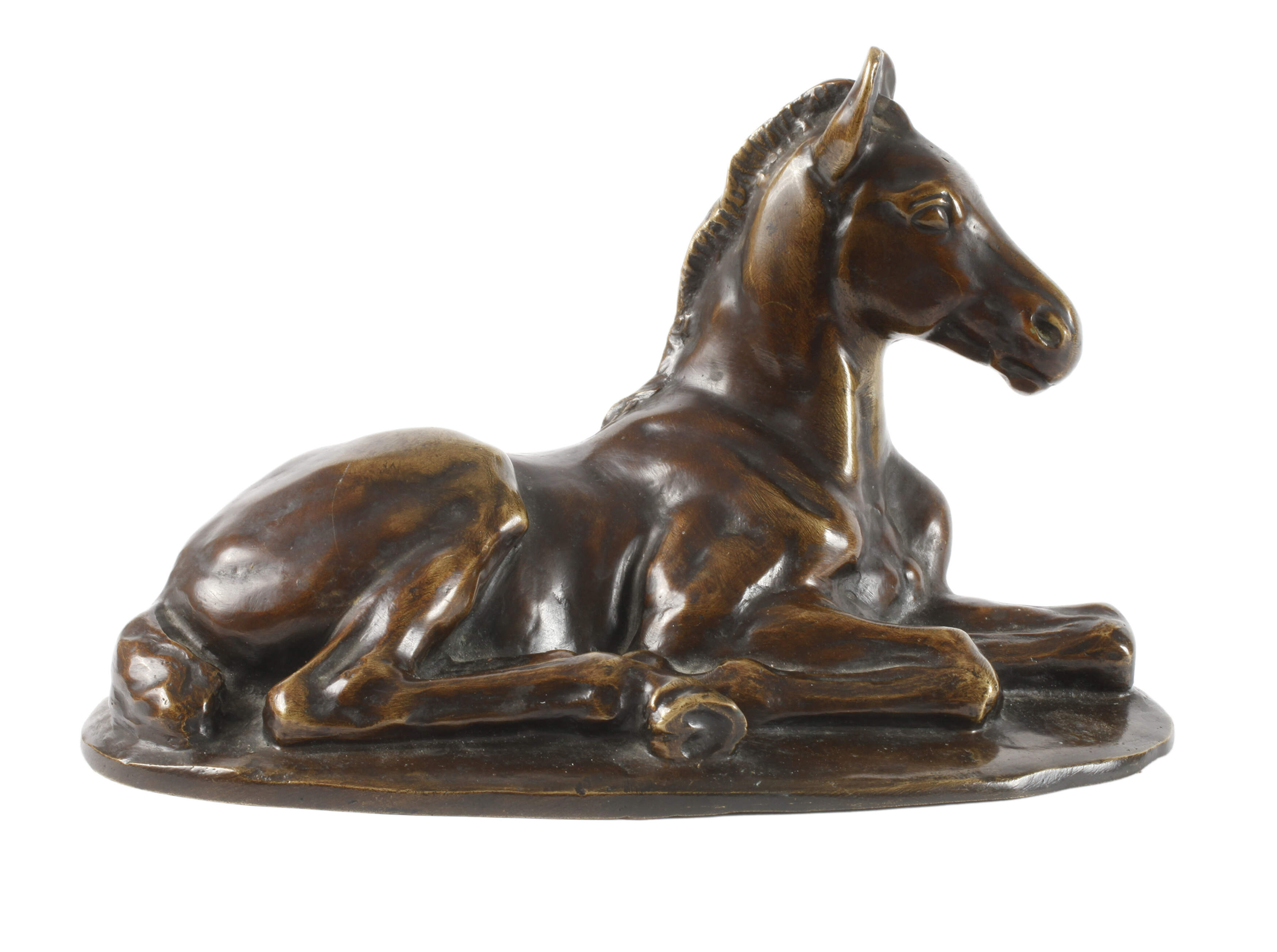 Albert Hinrich Hussman, liegendes Fohlen