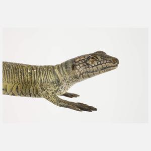 Wiener Bronze Eidechse