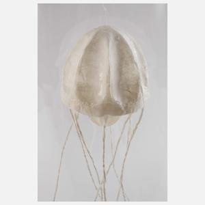 Sophie Casado, Qualle im Glassturz