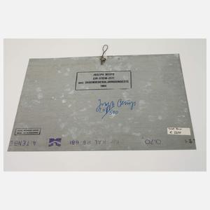 Joseph Beuys, "Ein-Stein-Zeit"