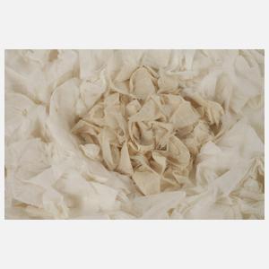 Lore Bert, "Himalaya"