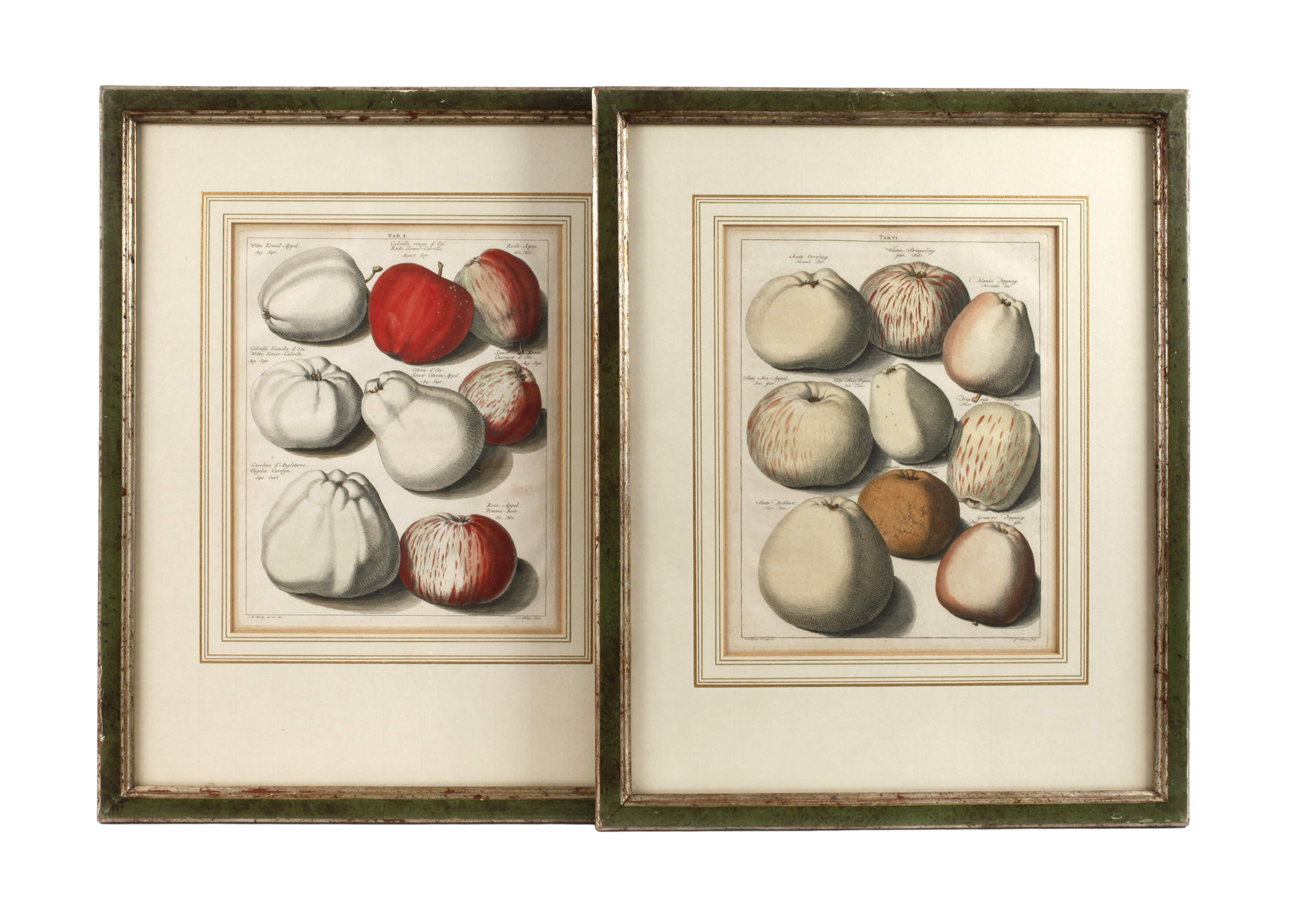 Zwei Apfeldarstellungen nach Johann Hermann Knoop