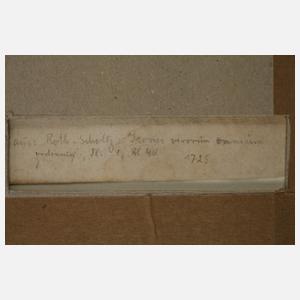 Bildnis des Astronomen Johannes Schöner