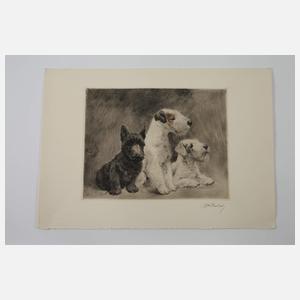 Curt Meyer-Eberhardt, Paar Hundedarstellungen