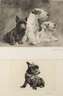 Curt Meyer-Eberhardt, Paar Hundedarstellungen