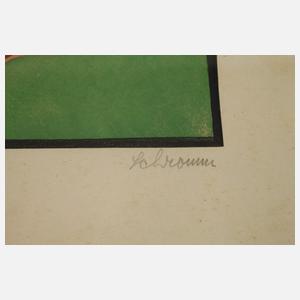 Sidonius von Schrom, Frühling in den Bergen