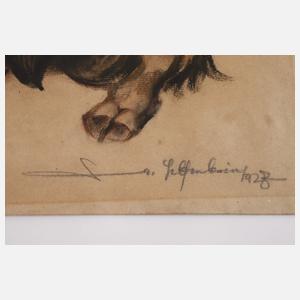 Walter Helfenbein, "Bison"