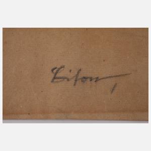 Walter Helfenbein, "Bison"