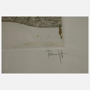 Thomas Ranft, "Grasbergtalgras"