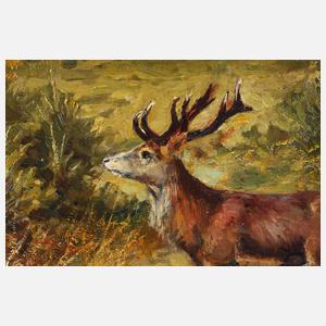 Hanns Taeger, Hirsch auf Waldlichtung