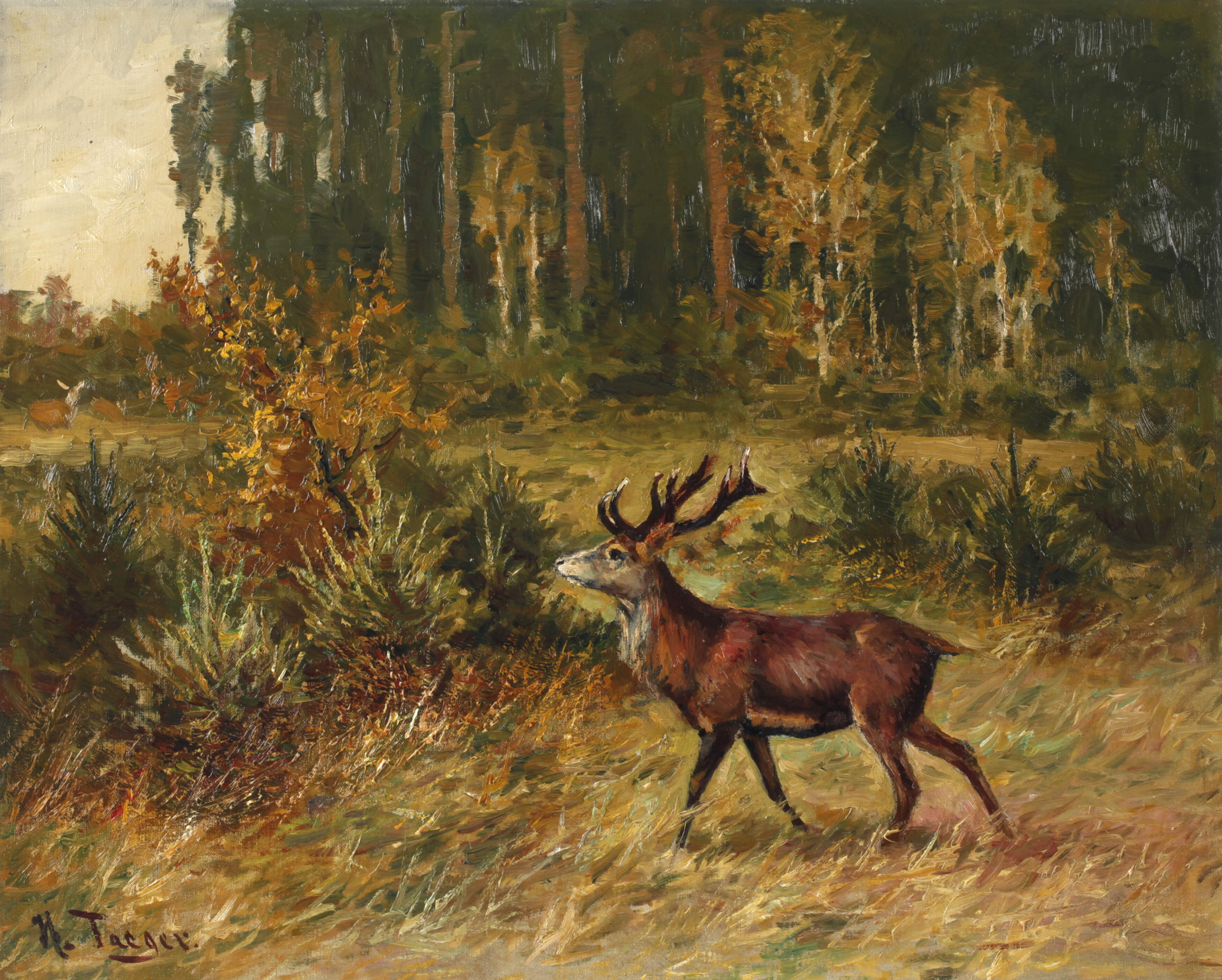 Hanns Taeger, Hirsch auf Waldlichtung