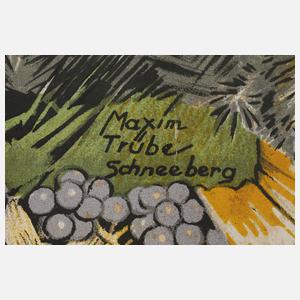 Maximilian Trübe, Jugend und Alter