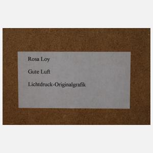 Rosa Loy, "Gute Luft"