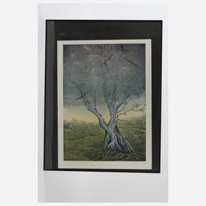 Peter Sylvester, "Alter Ölbaum"