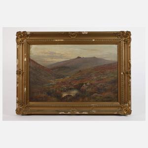 Alfred Fontville de Breanski jr., Das Dartmoor