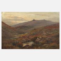 Alfred Fontville de Breanski jr., Das Dartmoor111