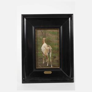 Albert Brendel, attr., Säbelantilope