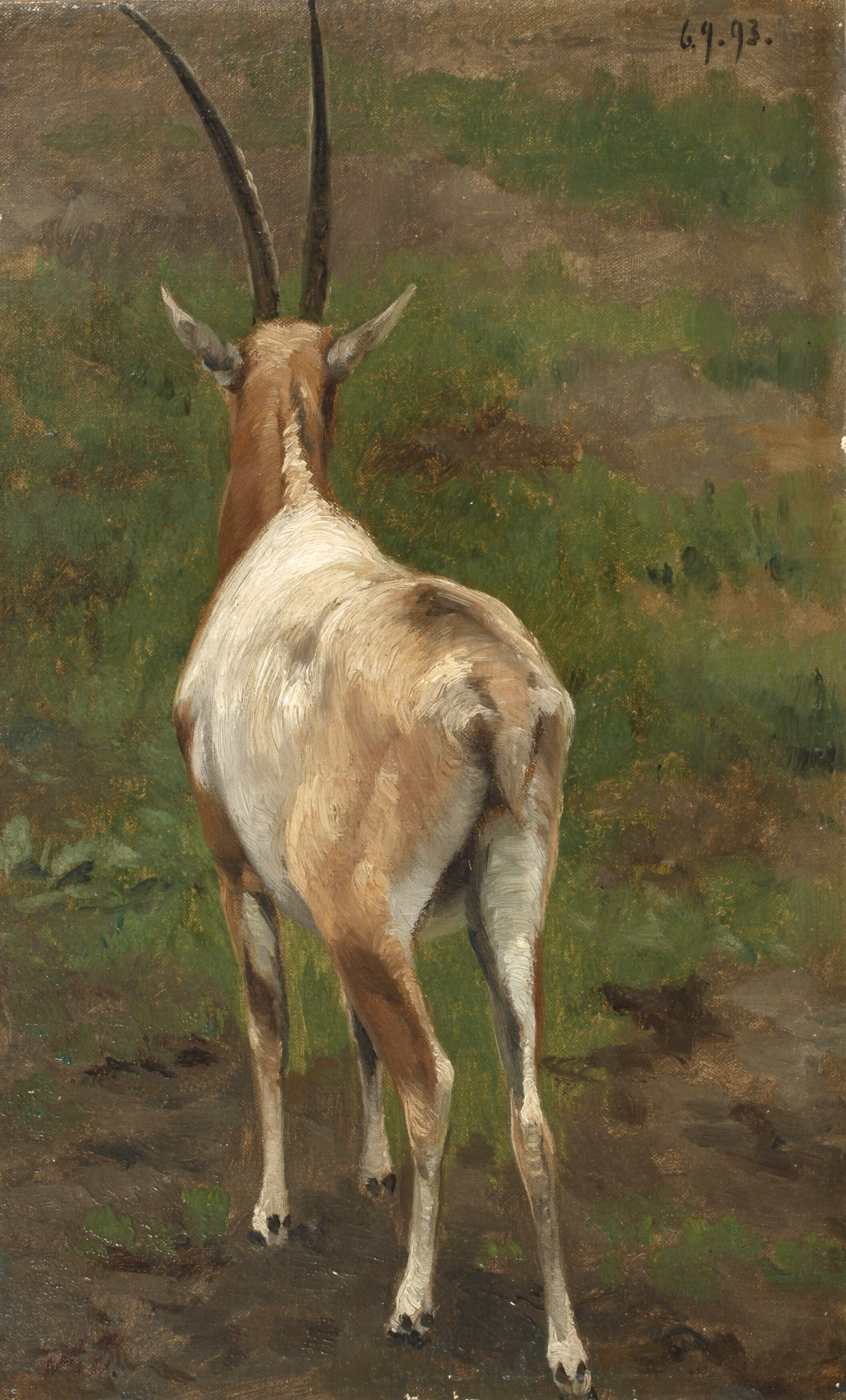 Albert Brendel, attr., Säbelantilope
