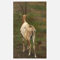 Albert Brendel, attr., Säbelantilope111
