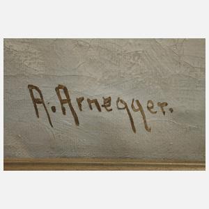 Alois Arnegger, Rosengarten im Alpenglühen