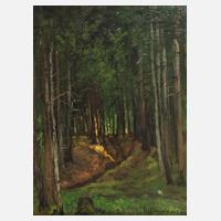 Wilhelm Donaubauer, Waldinneres111