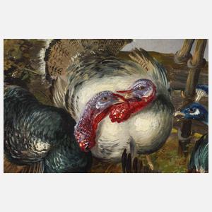 Max Hänger Senior, Geflügelhof mit Pfau