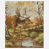 Friedrich Reimann, Damhirsch an der Tränke111