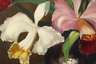 Helmuth Andreas Volkwein, Orchideenstillleben