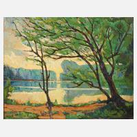 Morgenimpression am See111