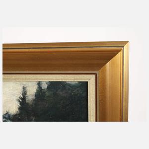 Rosenstock im Garten