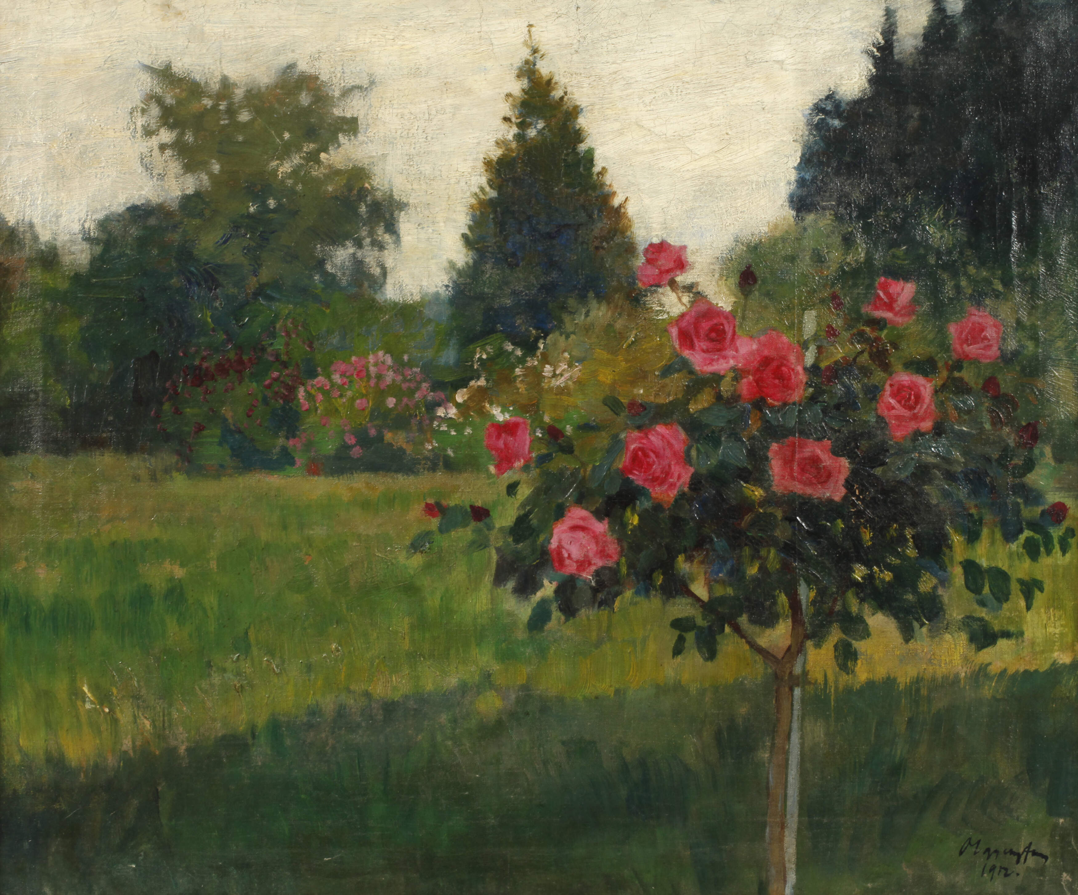 Rosenstock im Garten