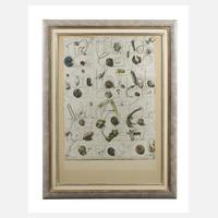 Großer Designerrahmen111