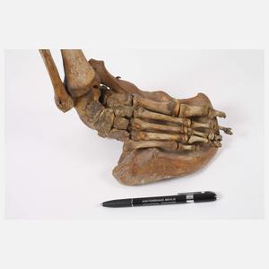 Paar okkulte Leuchter