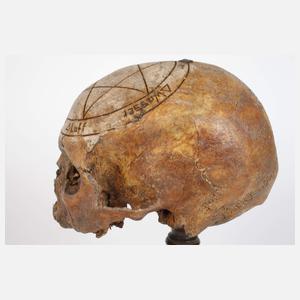 Barocker Schwurschädel