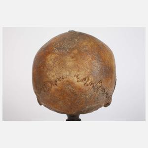 Barocker Schwurschädel