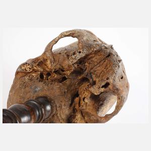 Barocker Schwurschädel