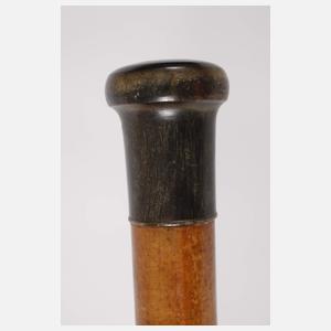 Spazierstock Horn