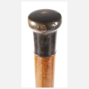 Spazierstock Horn