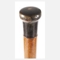 Spazierstock Horn111