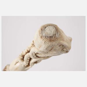 Spazierstock Memento Mori