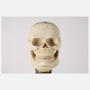 Spazierstock Memento Mori