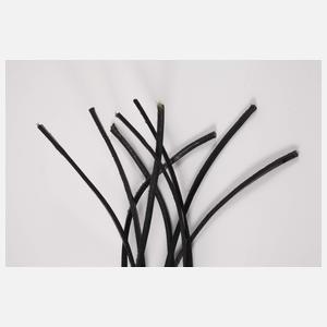 Lederpeitsche Erotika